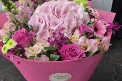 WhatsApp-Image-2026-05-12-at-1.52.59-PM-1