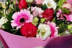 WhatsApp-Image-2026-05-12-at-8.27.30-PM