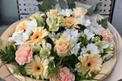 WhatsApp-Image-2026-05-12-at-8.27.38-PM