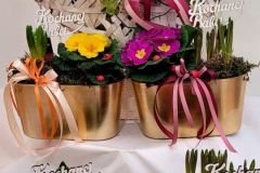 WhatsApp-Image-2026-05-21-at-12.08.40-PM