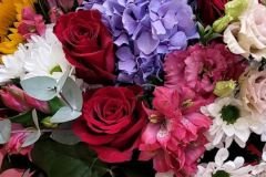 WhatsApp-Image-2026-05-21-at-12.08.46-PM-6