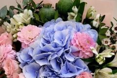 WhatsApp-Image-2026-05-21-at-12.08.47-PM-1