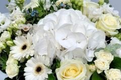 WhatsApp-Image-2026-05-21-at-12.08.47-PM-7