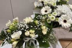 WhatsApp-Image-2026-05-12-at-1.52.58-PM