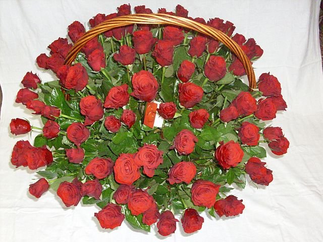 KK-121-770-zl (100 róż)