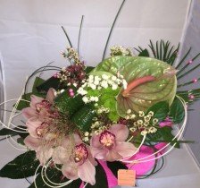 WO-086-75-zl-79b9314a6c