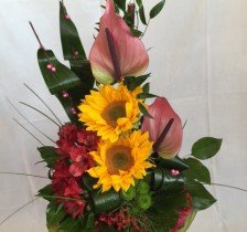 WO-091-86-zl-d075254f55