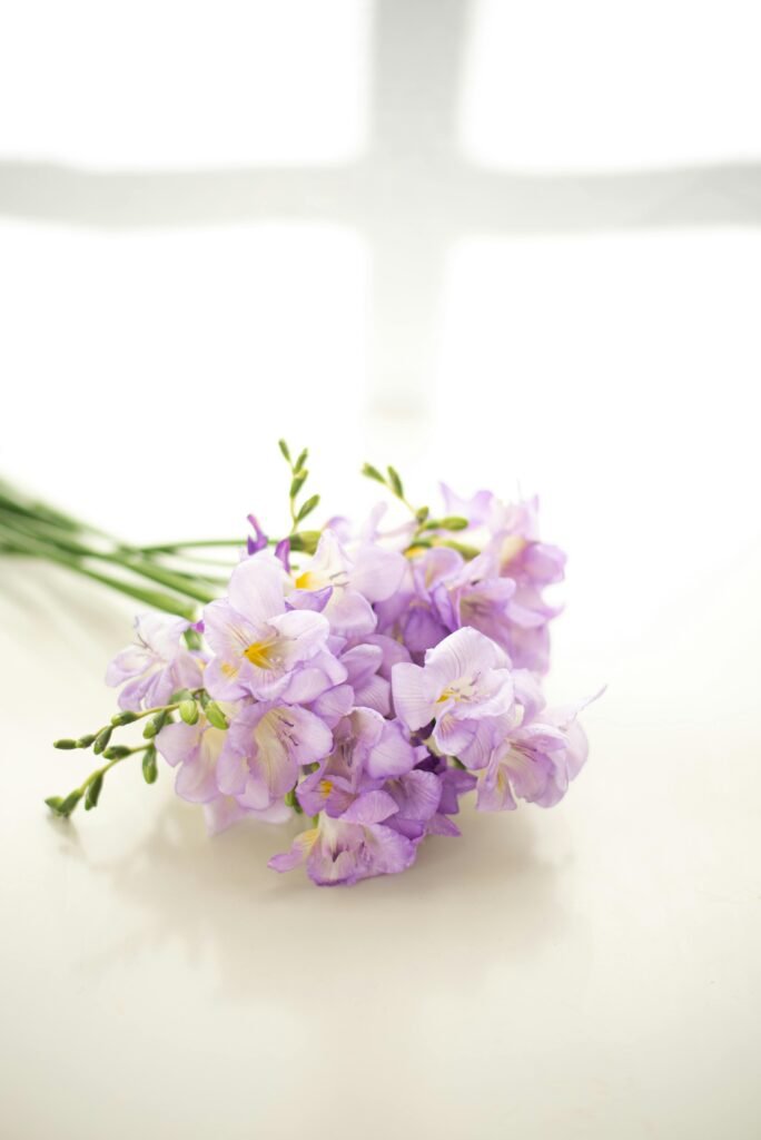 pexels-photo-14766736-14766736 A soft, elegant purple freesia bouquet elegantly arranged on a bright white surface, ideal for floral photography.
