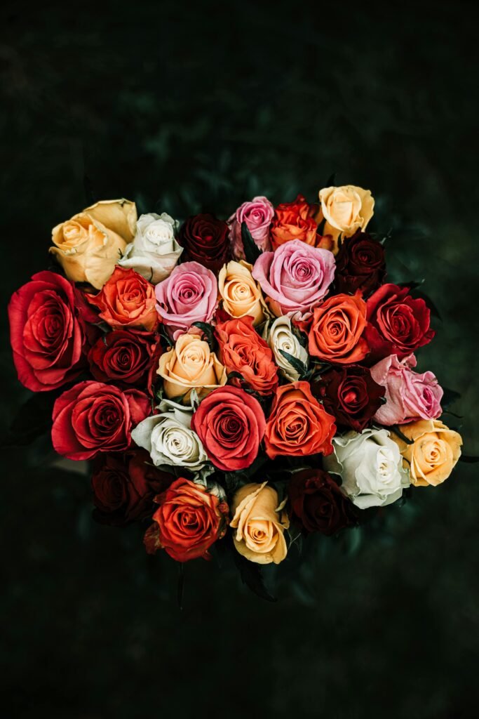 Aerial view of a colorful bouquet of roses in various shades of red, pink, yellow, and white.